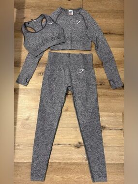 Gymshark *3 Pc Set* Vital Seamless 2.0 Long Sleeve Crop, Leggings, & Bra in Gray